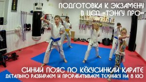 Детально разбираем 8 кю / Синий пояс по Кёкусинкай Карате. Подготовка к экзамену в ЦСП «Тэнгу Про»