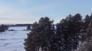 SKI-DOO 600 Sport EFI (2021)