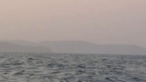 Вечерний Океан