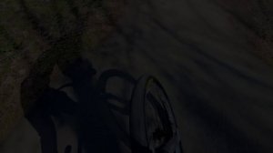 Памп Кусково - мини круг - 2024