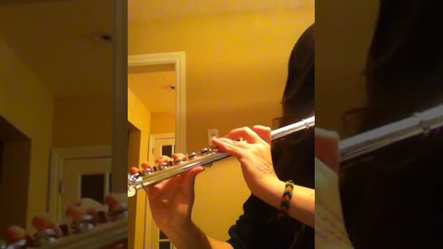 Drops of Jupiter -- Flute Cover смотреть онлайн