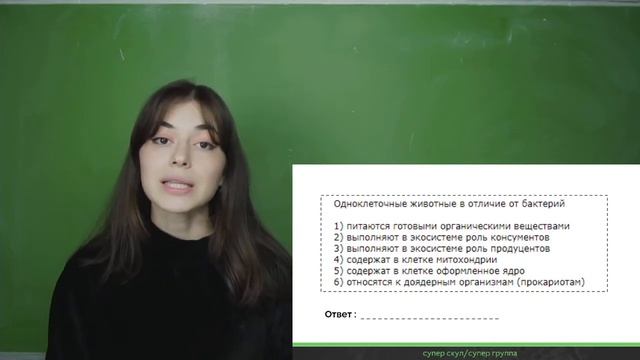 СУПЕР БИОЛОГИЯ - ОТЛИЧИЕ ОДНОКЛЕТОЧНЫХ ОТ БАКТЕРИЙ