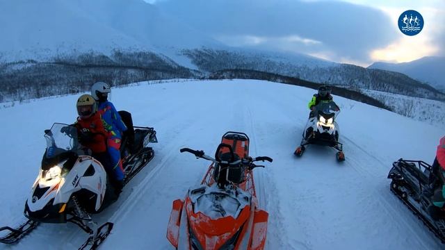 Малый вудъявр смотреть онлайн