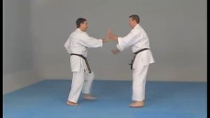 Karaté Do : Uechi Ryu