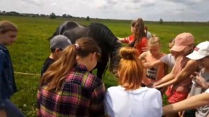 Суздаль. Щурово городище. Контактный зоопарк.