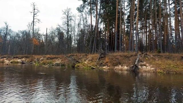 Сплав по реке лух на SUP борде смотреть онлайн