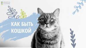 Книжный обзор "Как быть кошкой"