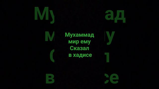 Мухаммад мир ему.сказал что читать перед сном #напоминание #ислам #религия #единобожие #