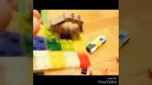 Хомяки худеют!!!