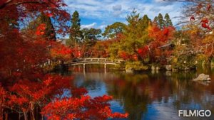 Осенний сад...