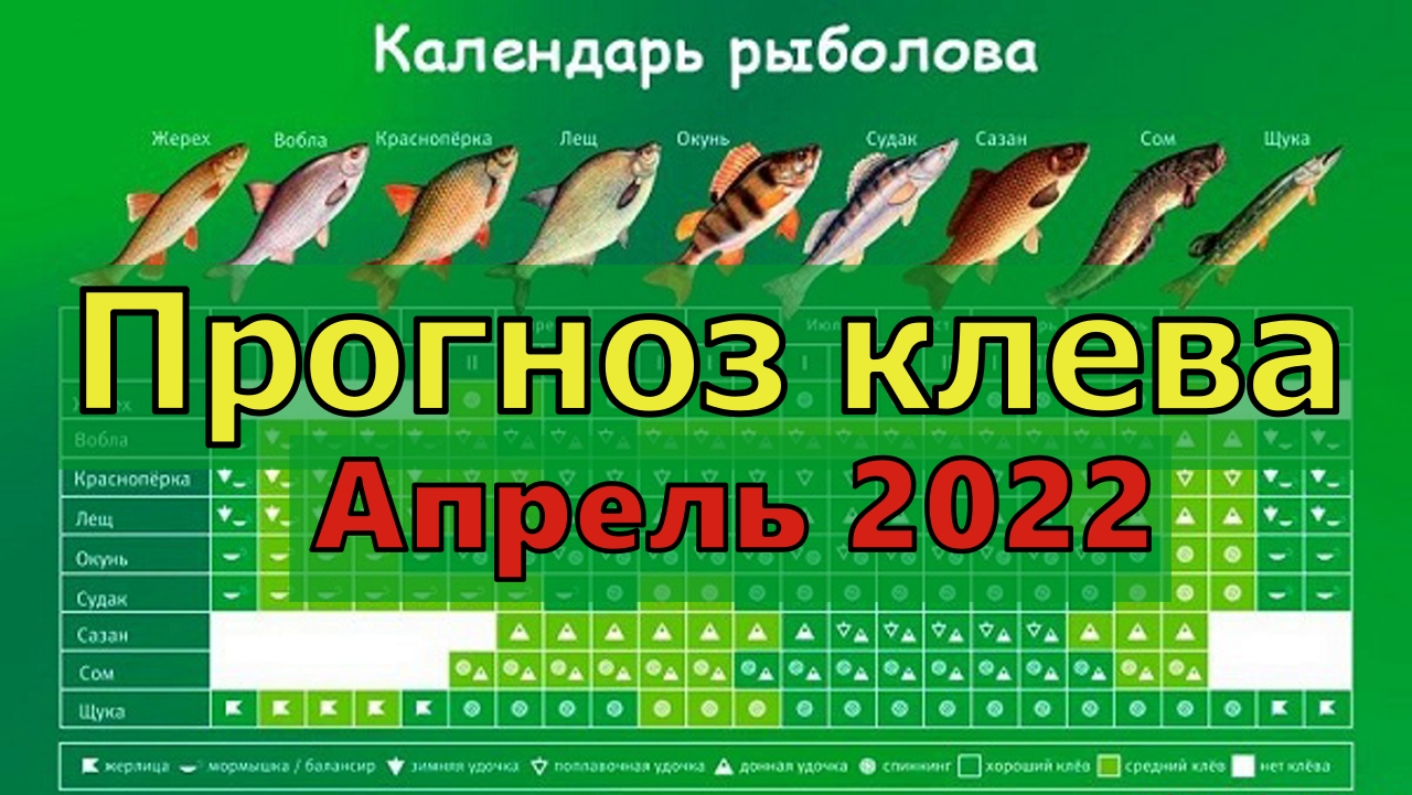 Прогноз клева ставропольский. Календарь рыбака. Рыболовный календарь клёва. Рыболовный календарь на апрель. Рыбный календарь.