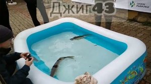 Трофеи Вятки 2021. Лучший рыболовный турнир Кировской области