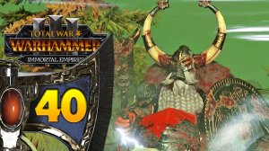 Гномы прохождение Total War Warhammer 3 за Громбриндала - #40