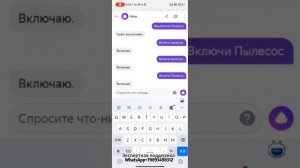 Подключение приложения NEATSVOR HOME Alice, руководство