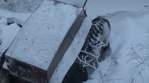 Чебуратор Алексея Гарагашьяна