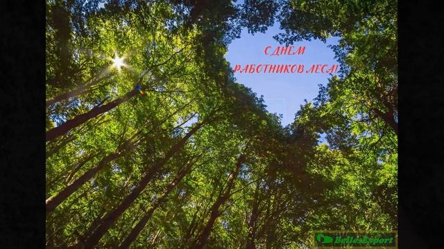 Значок День работника леса смотреть онлайн