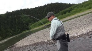 Рыбалка на Камчатке ч 2 С нахлыстом по Еловке
