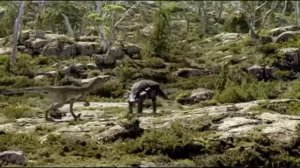 БЫСТРЫЙ ЮТАРАПТОР vs МОЩНЫЙ МАЙЮНГАЗАВР. Динозавр vs динозавра. БОЙ №18.