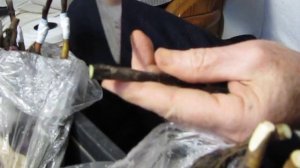 Зимняя прививка №2