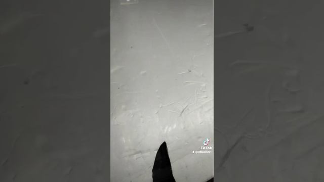 Ремонт сколов и трещин на лобовом стекле автомобиля уфа ул Пугачева 68 у Микаэля.