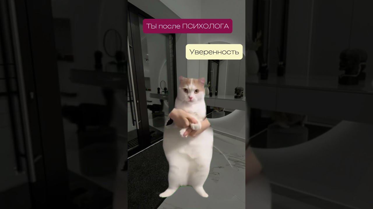 Знакомо? #психолог #отношения #психология #психотерапевтонлайн