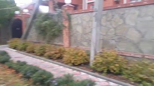 Первый снег Волгодонск смотреть онлайн