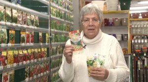 Голова садовая - Всё о необыкновенном Пажитнике