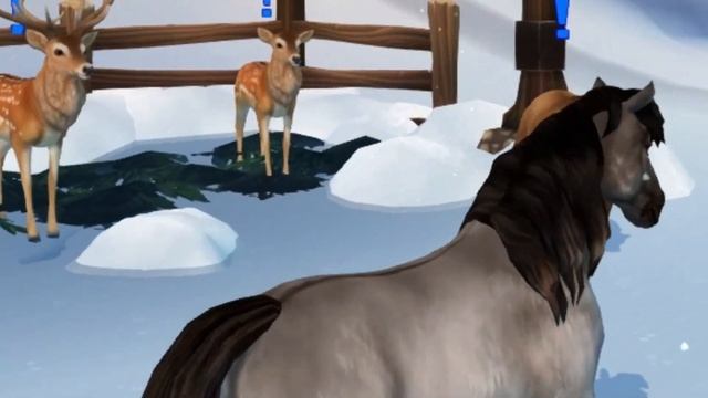 что делают ваши лошади пока вы не в игре?