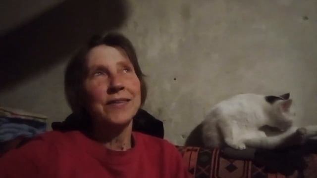 Печь коптит?,ужас.Нашлась мамина пенсия.Живу на малине.? смотреть онлайн