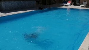 Красивый прыжок в воду. Канал Тутси Влог.