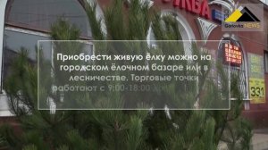 Сколько стоит елка в Горловке?