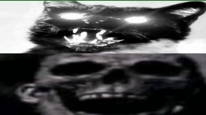 айлурофобия.Мистер исключительный.мем.+2 новых варианта.)