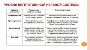 Вегетативная нервная система