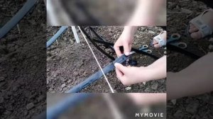 Грядки для клубники с капельным поливом.