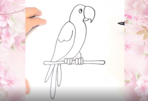 Попугайчик