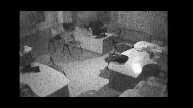 Ограбить офис за две минуты. В Киеве совершена кража в офисе. Воры попали на камеру видеонаблюдения смотреть онлайн