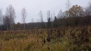 Поиск в местах окружения 33-Армии.