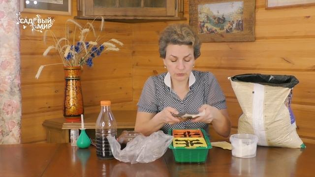 Посев перцев на рассаду. Надежные семена – 100% успех