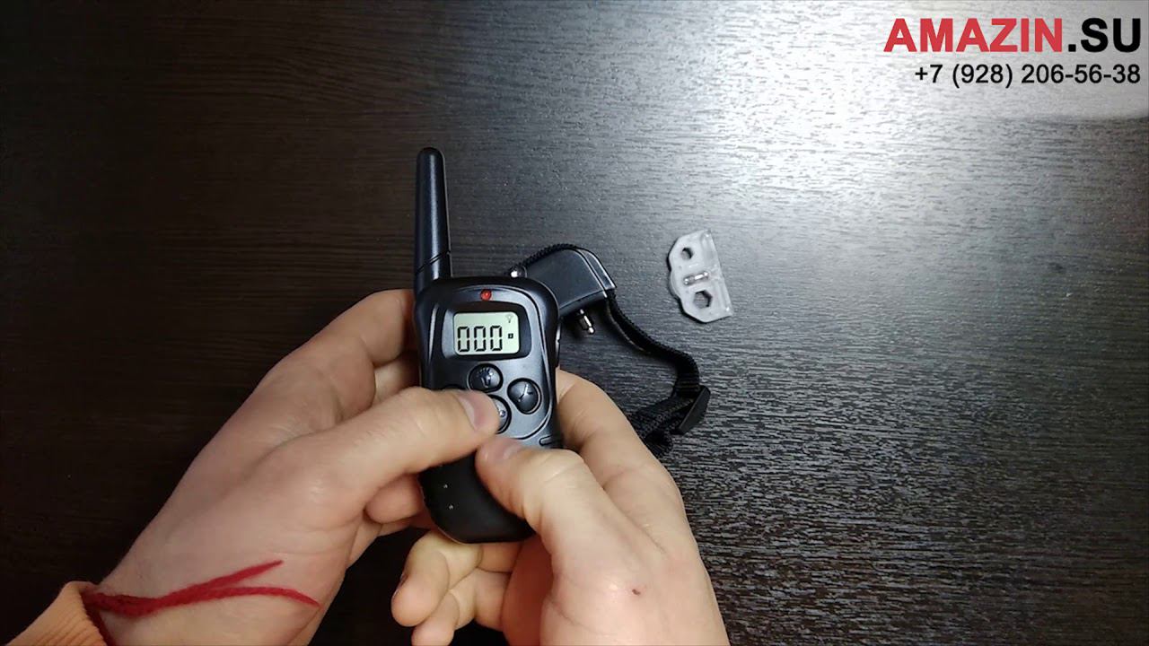 Видео обзор электронного ошейника PET998DR. Как работает электронный ошейник? смотреть онлайн