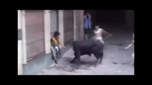 Бык бодает, но жертва не спасается...