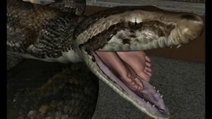 Snake Vore!