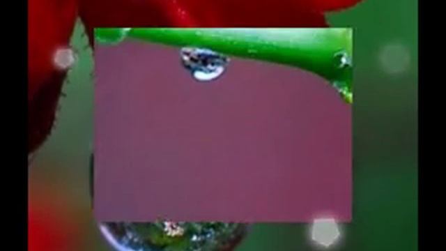 Мир в Одной капли смотреть онлайн