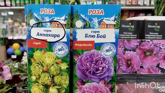 16.03.2024г.ПО ГОРОДУ НА МАШИНЕ/В МАГАЗИНЕ/КОМСОМОЛЬСК-НА-АМУРЕ #комсомольскнаамуре #прогулка