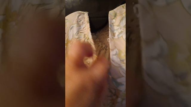 VID_20240408_164029