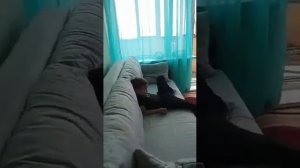 двухкомнатная квартира, г.Москва, ул. Липецкая, д.8