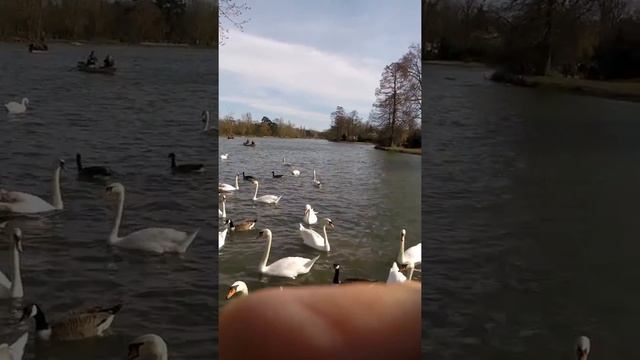 Прогулка по парку в Париже. Шато Винсент