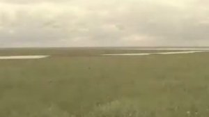 айса хохлашова