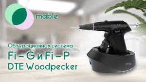Обтурационная система Fi - G и Fi - P DTE Woodpecker