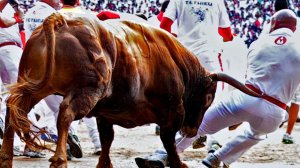 SAN Fermin live Festival