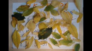 Анимированная открытка ко Дню учителя